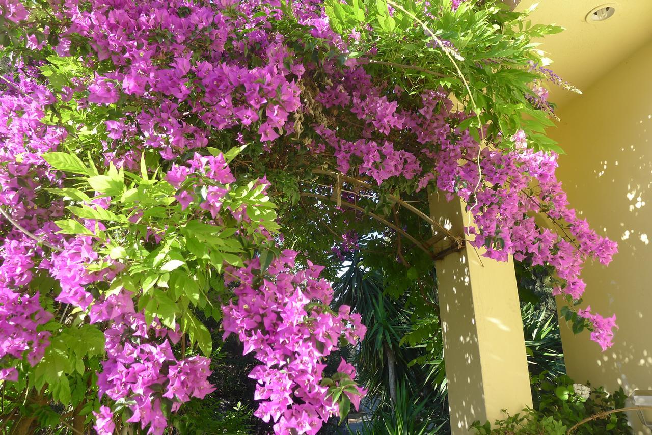 St. Thomas Bed And Breakfast Paianía 外观 照片